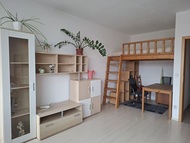 Pronájem bytu 1+kk 34 m²