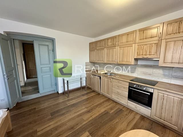 Pronájem bytu 1+kk 42 m²