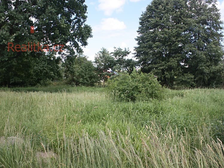 Pronájem pozemku 650 m²