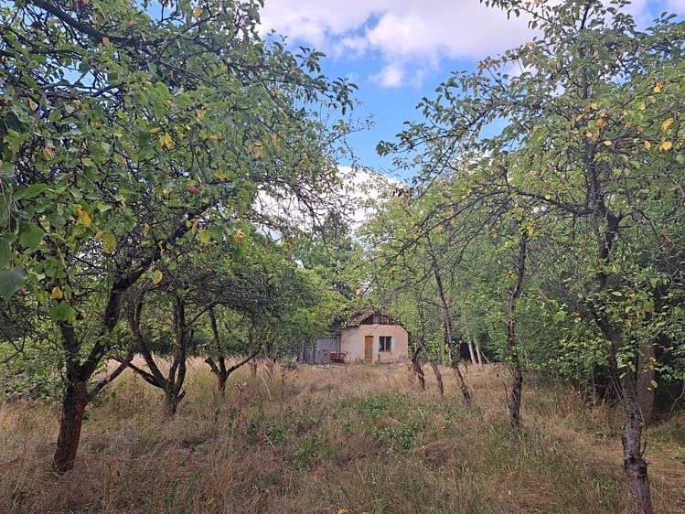 Pronájem zahrady 2 508 m²