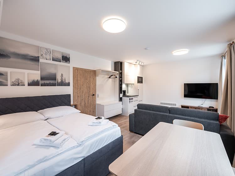 Prodej bytu 1+kk 31 m² (Jednopodlažní)
