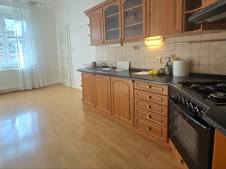 Prodej bytu 1+1 46 m² (Jednopodlažní)