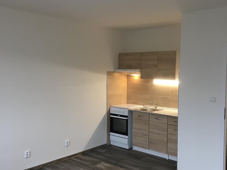 Pronájem bytu 1+1 42 m²