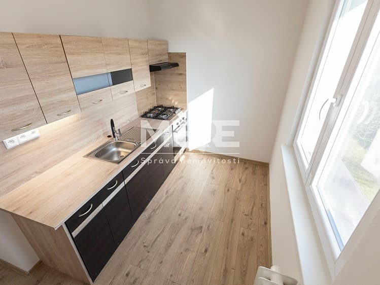 Pronájem bytu 3+1 57 m²