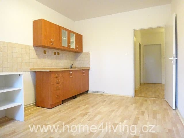 Pronájem bytu 1+1 70 m²