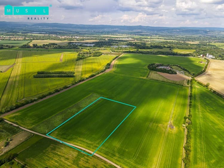 Prodej podílu 62/100 pole 13 143 m²