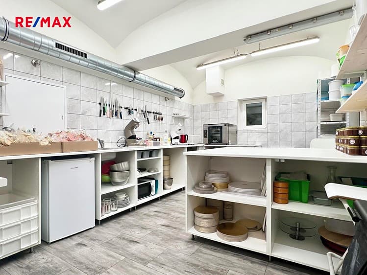 Prodej obchodního prostoru 55 m²
