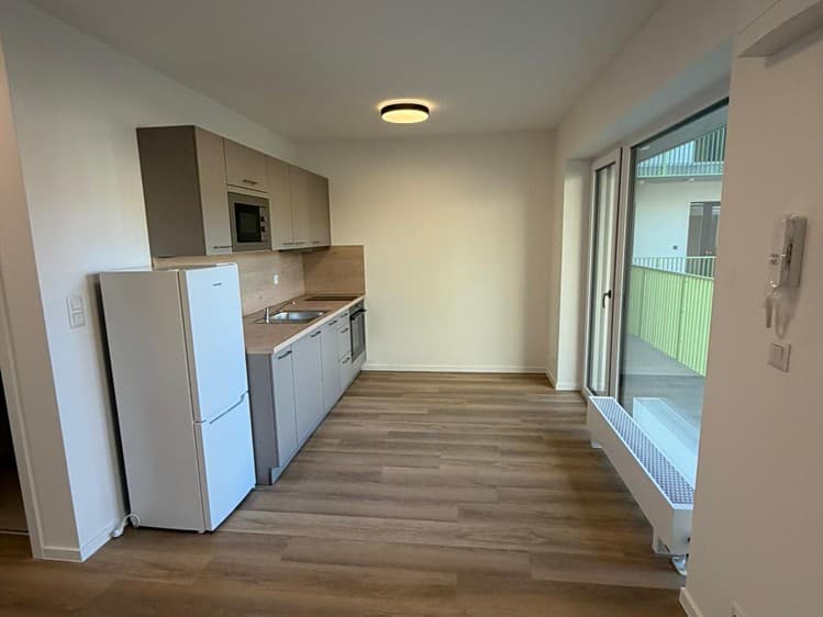 Pronájem bytu 1+kk 26 m² (Jednopodlažní)