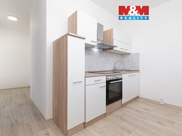 Prodej bytu 2+1 53 m²