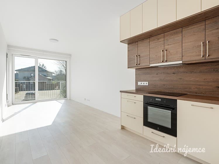 Pronájem bytu 1+kk 31 m²