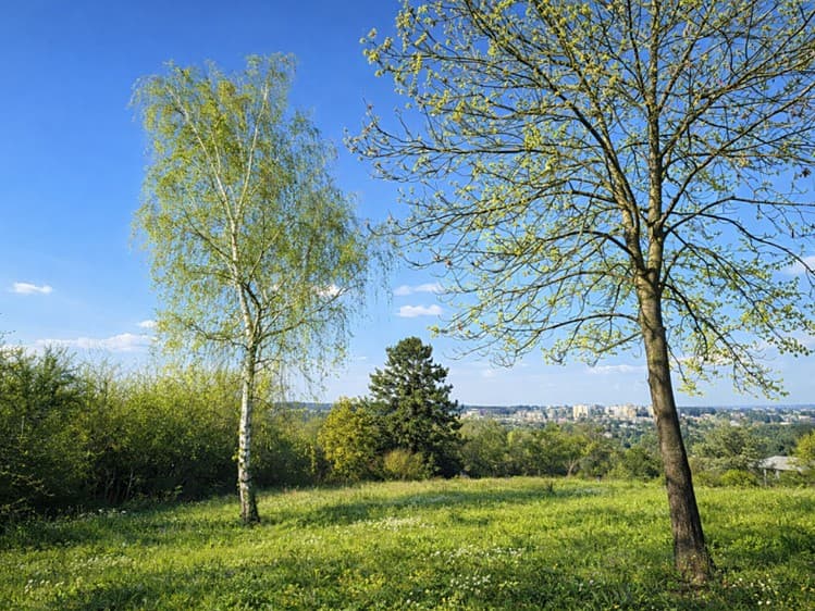 Prodej pozemku 1 096 m²