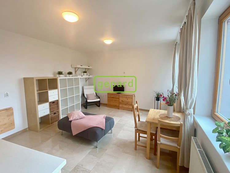 Pronájem bytu 1+kk 34 m²