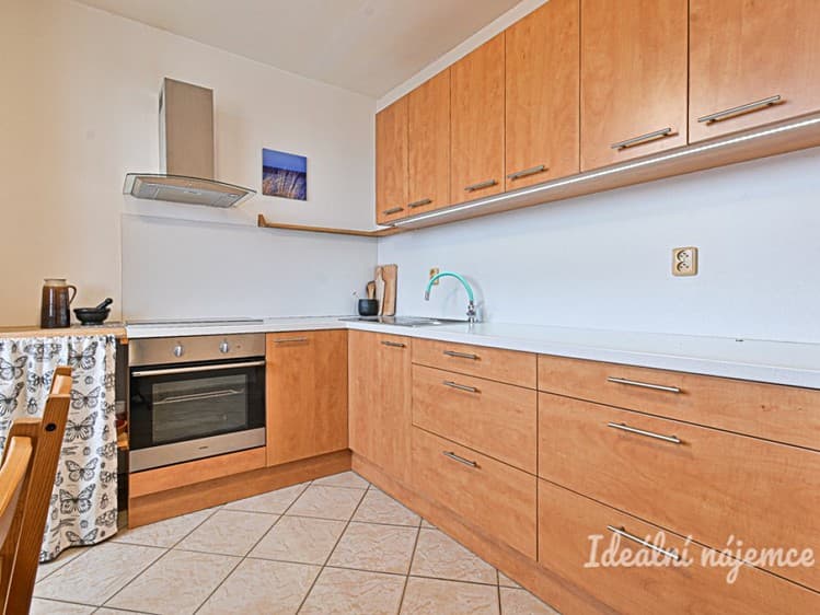 Pronájem bytu 1+1 45 m²