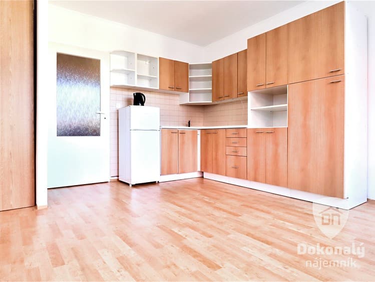 Pronájem bytu 1+kk 39 m²