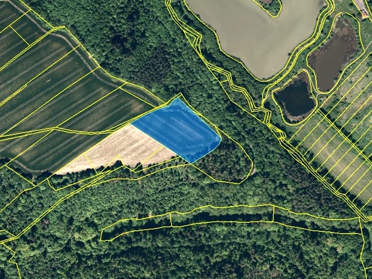 Prodej podílu 1/2 pole 7 251 m²