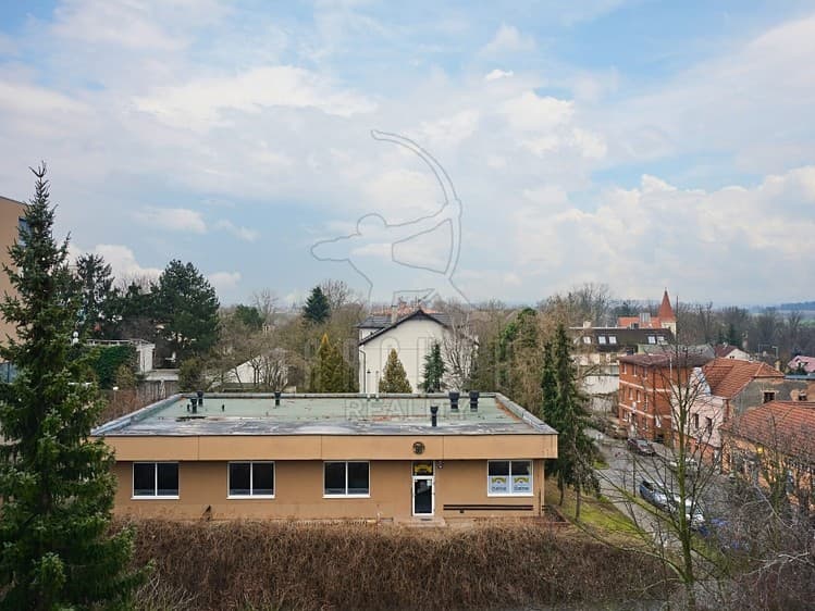 Prodej komerční nemovitosti 451 m²