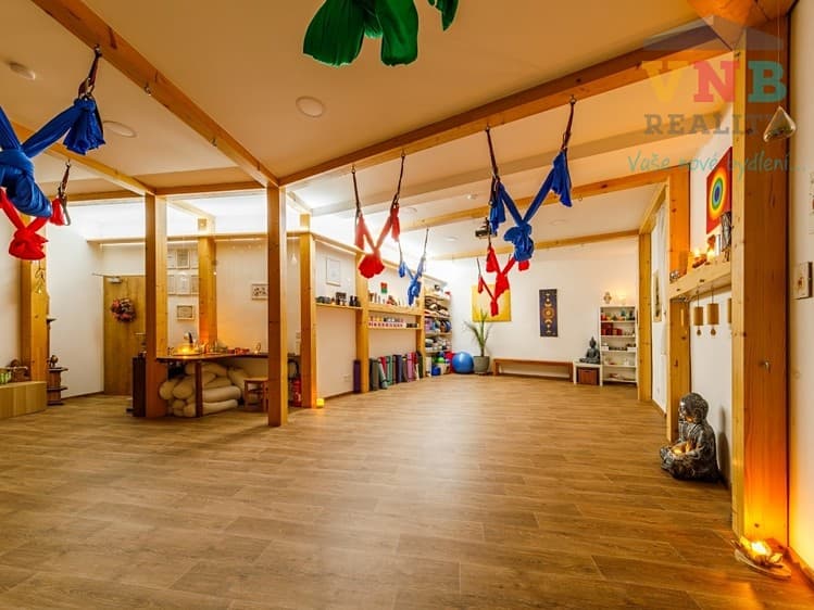 Prodej komerční nemovitosti 205 m²
