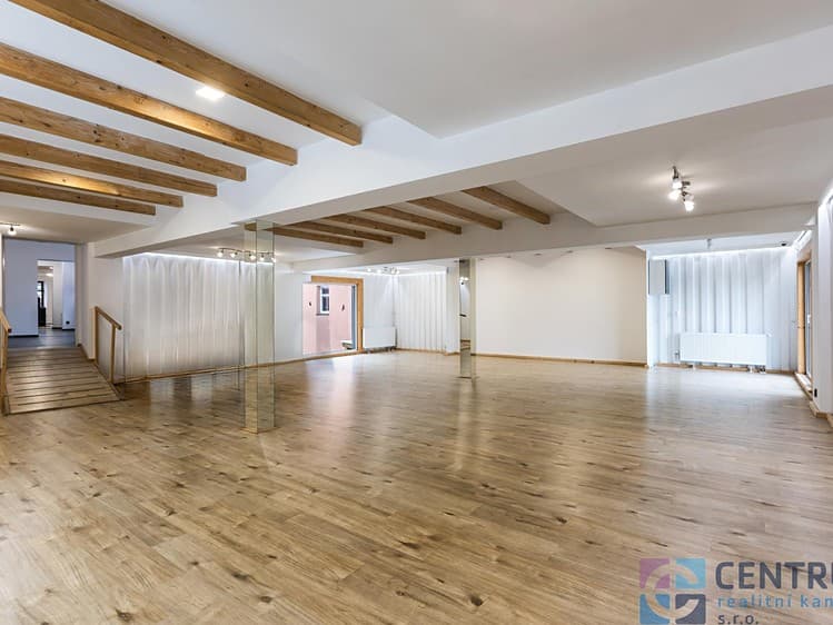 Pronájem obchodního prostoru 243 m²