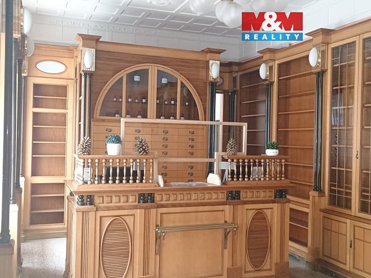 Pronájem obchodního prostoru 270 m²