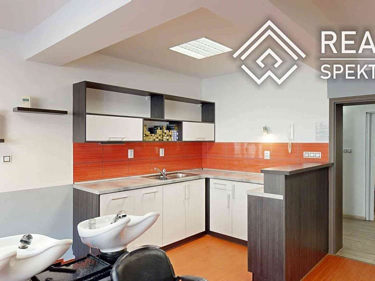 Prodej specifického typu nemovitosti 110 m²