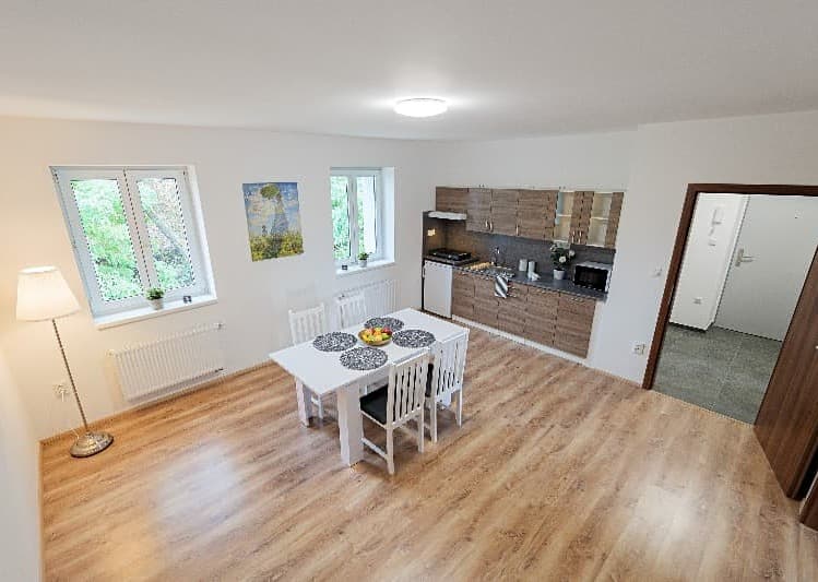 Pronájem specifického typu nemovitosti 300 m²