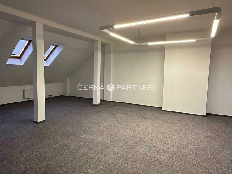 Pronájem specifického typu nemovitosti 31 m²