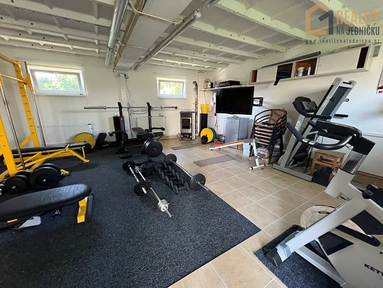 Pronájem specifického typu nemovitosti 40 m²