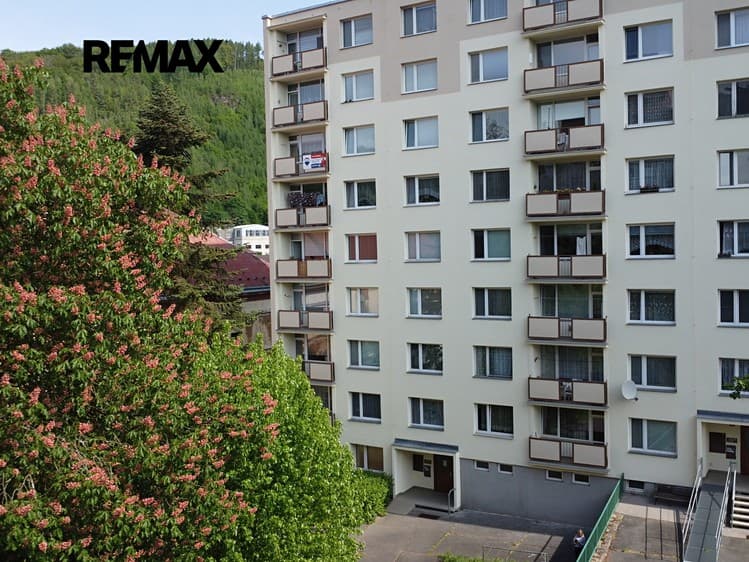 Prodej bytu 3+1 63 m²