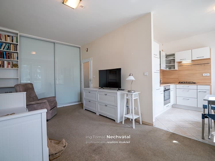 Prodej bytu 1+1 30 m² (Jednopodlažní)