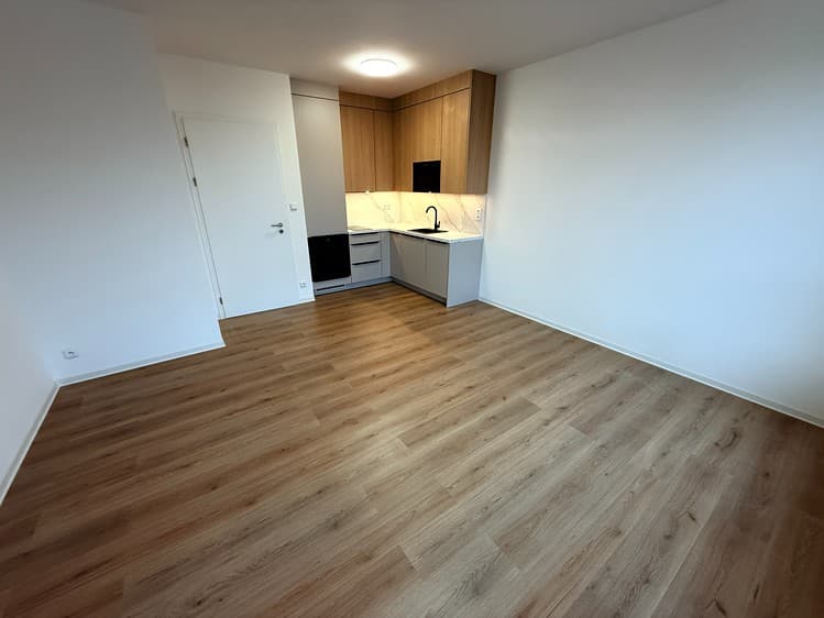 Pronájem bytu 1+kk 39 m²