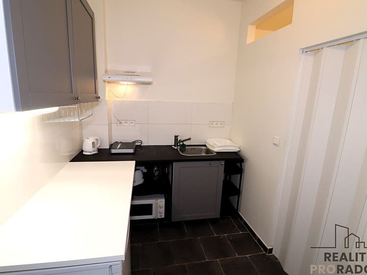 Pronájem bytu 1+1 30 m²