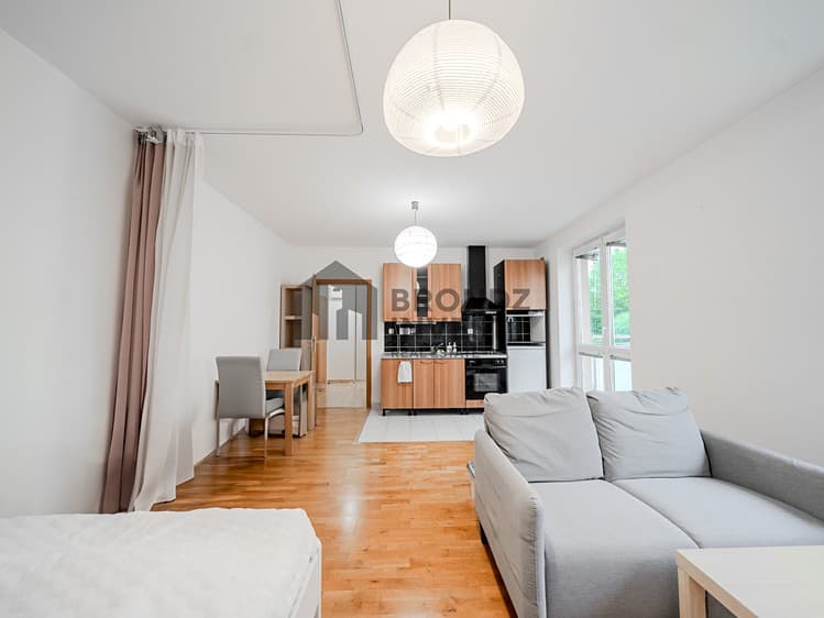 Pronájem bytu 1+kk 36 m² (Jednopodlažní)