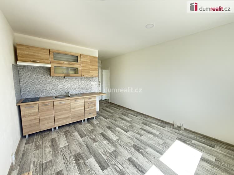 Pronájem bytu 1+1 40 m²