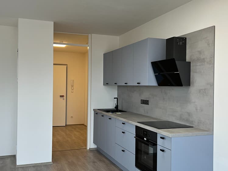 Pronájem bytu 1+kk 40 m² (Jednopodlažní)