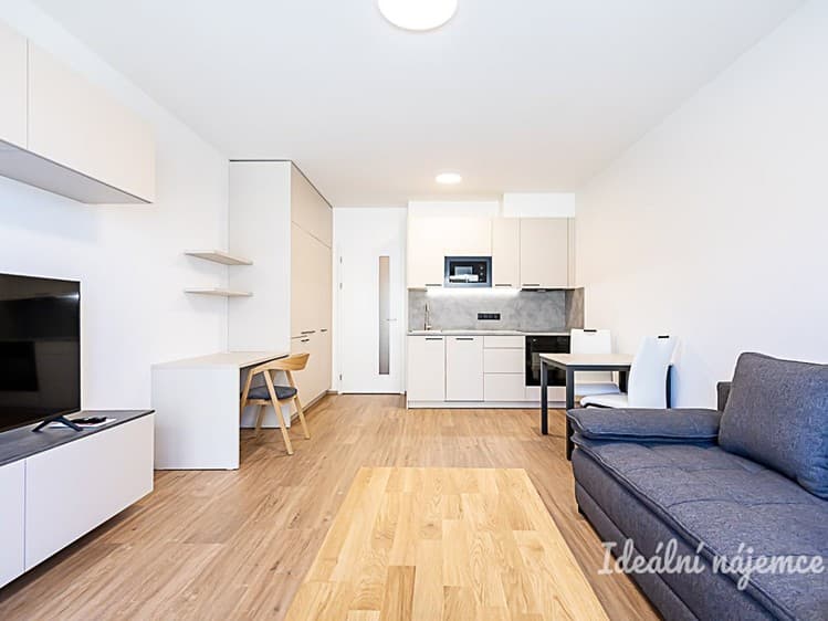 Pronájem bytu 1+kk 35 m²
