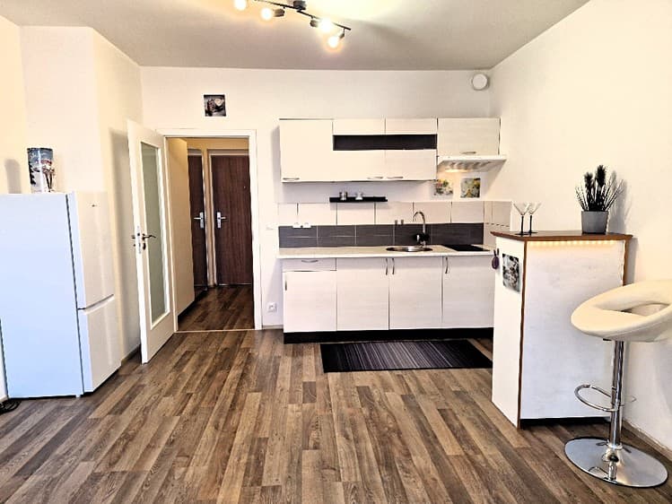 Pronájem bytu 1+kk 29 m² (Jednopodlažní)