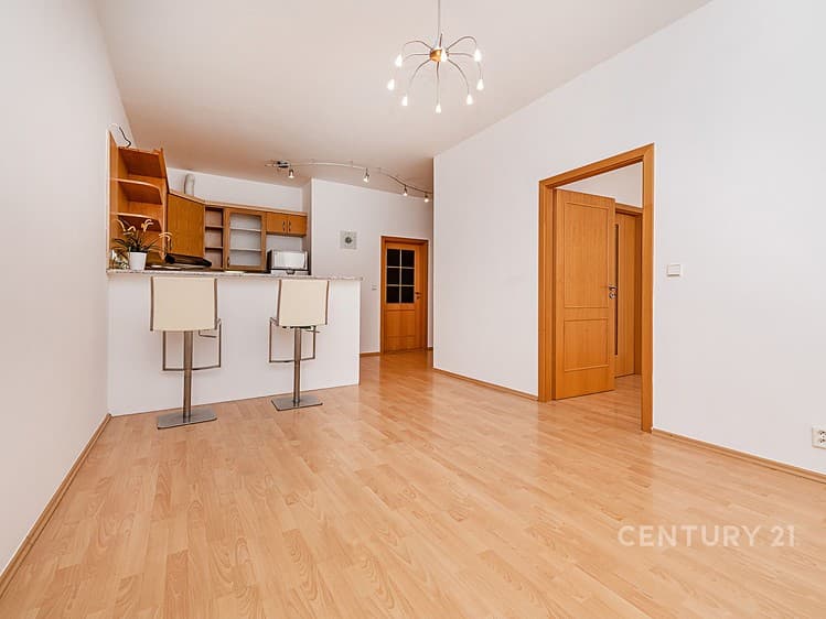 Pronájem bytu 2+kk 51 m²