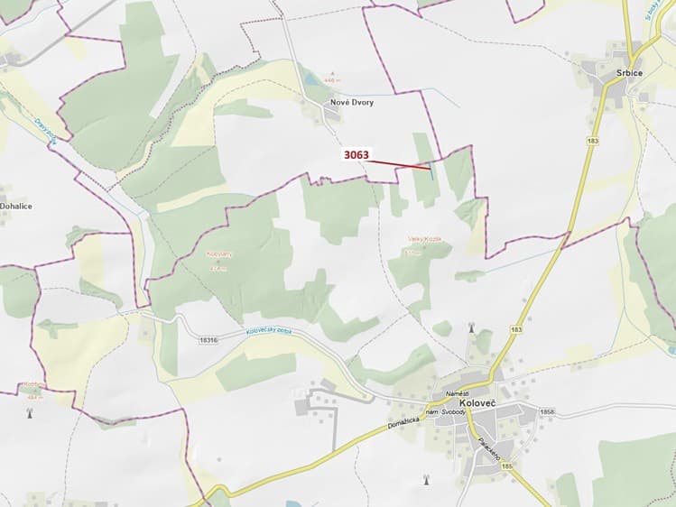 Dražba lesa 703 m²