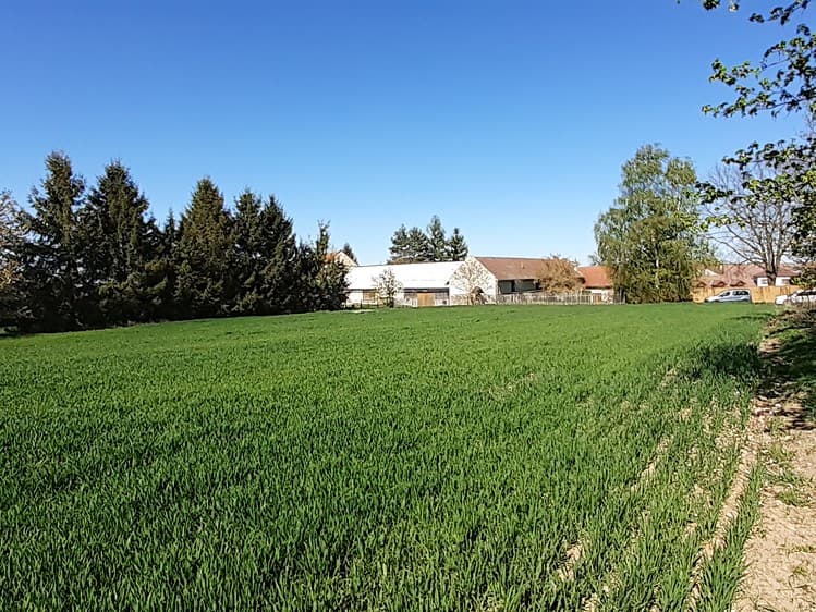 Prodej stavebního pozemku 1 153 m²
