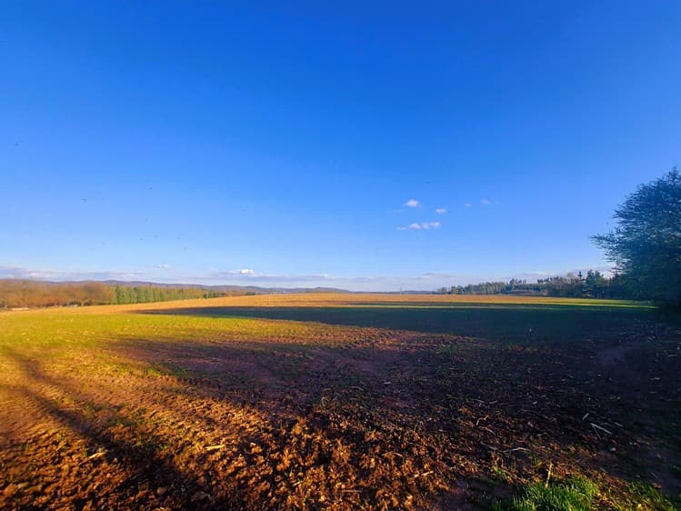 Prodej stavebního pozemku 11 943 m²