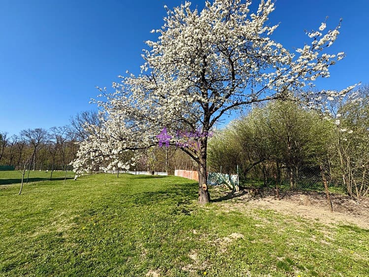 Pronájem zahrady 1 636 m²