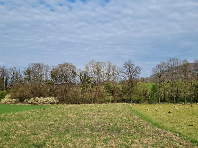 Pronájem pole 850 m²
