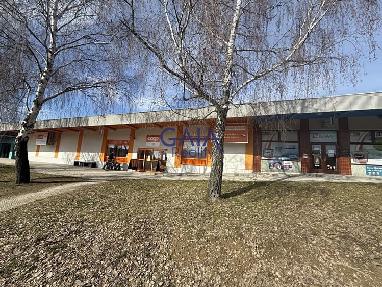 Prodej obchodního prostoru 600 m²