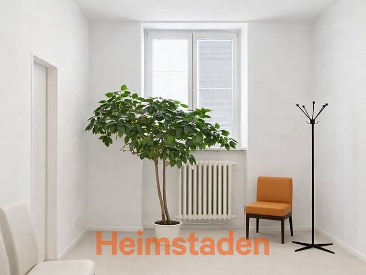 Pronájem obchodního prostoru 54 m²