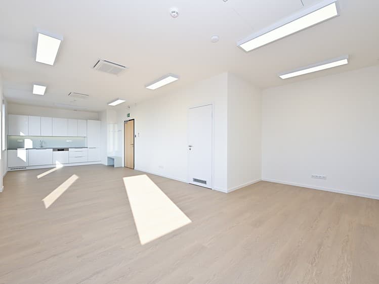 Pronájem kanceláře 50 m²