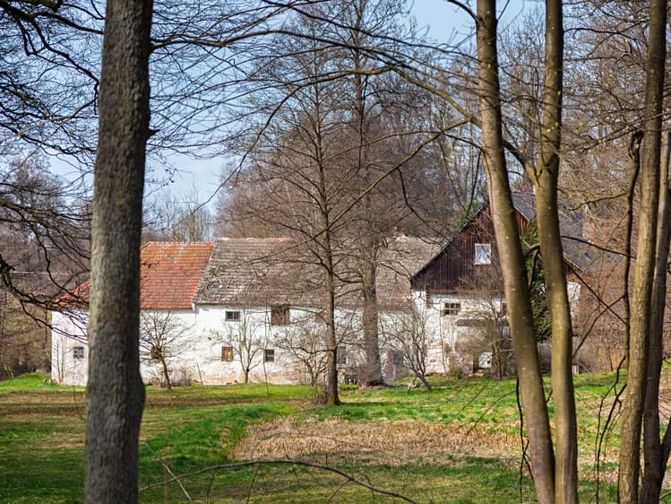 Prodej zemědělské usedlosti 150 m², pozemek 23 756 m²