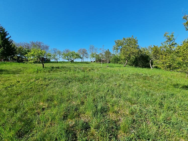 Prodej zahrady 998 m²