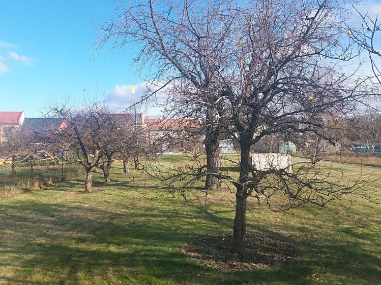 Prodej zahrady 1 080 m²