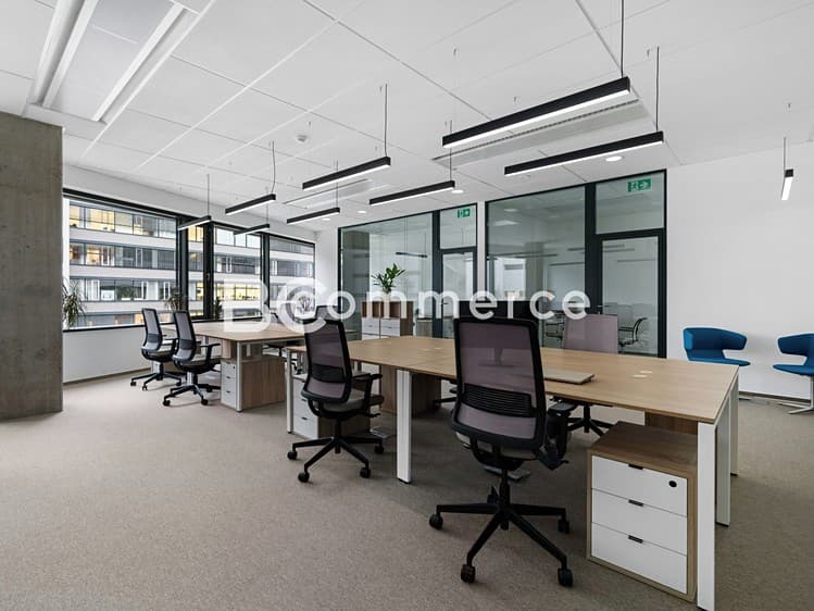 Pronájem kanceláře 310 m²