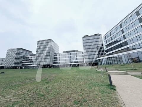 Pronájem kanceláře 700 m²